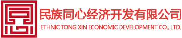 民族同心经济开发有限公司